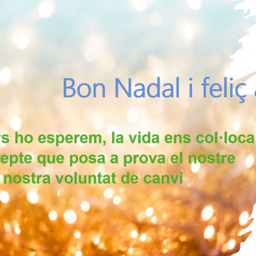 Bon Nadal i feliç any 2021!