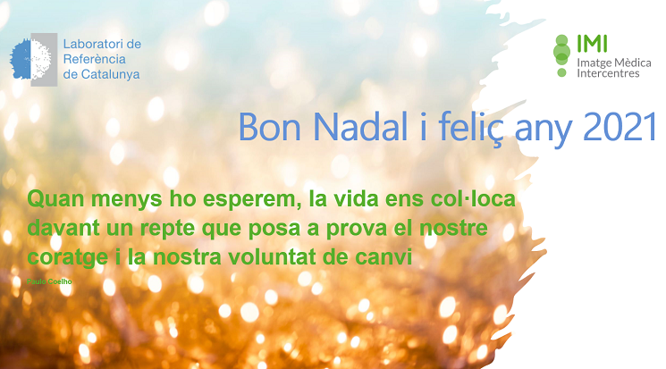 Bon Nadal i feliç any 2021!