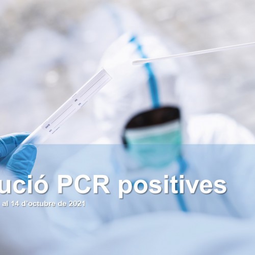 Actualitzem la situació de la xarxa: volum de PCR i positius per edat