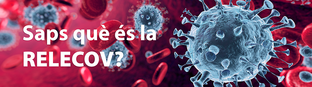 Saps què és la RELECOV?