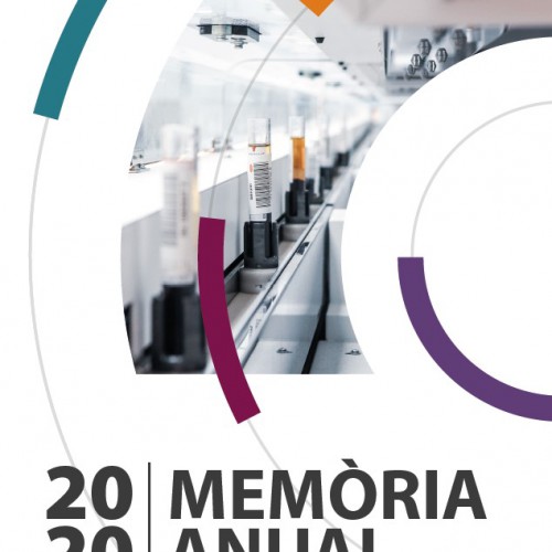 Memoria anual 2020