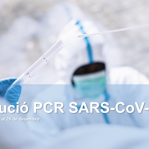 Evolución de las PCR SARS-CoV-2