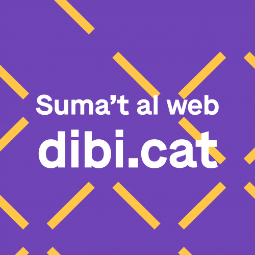 Segueix la nostra actualitat al web de dibi.cat