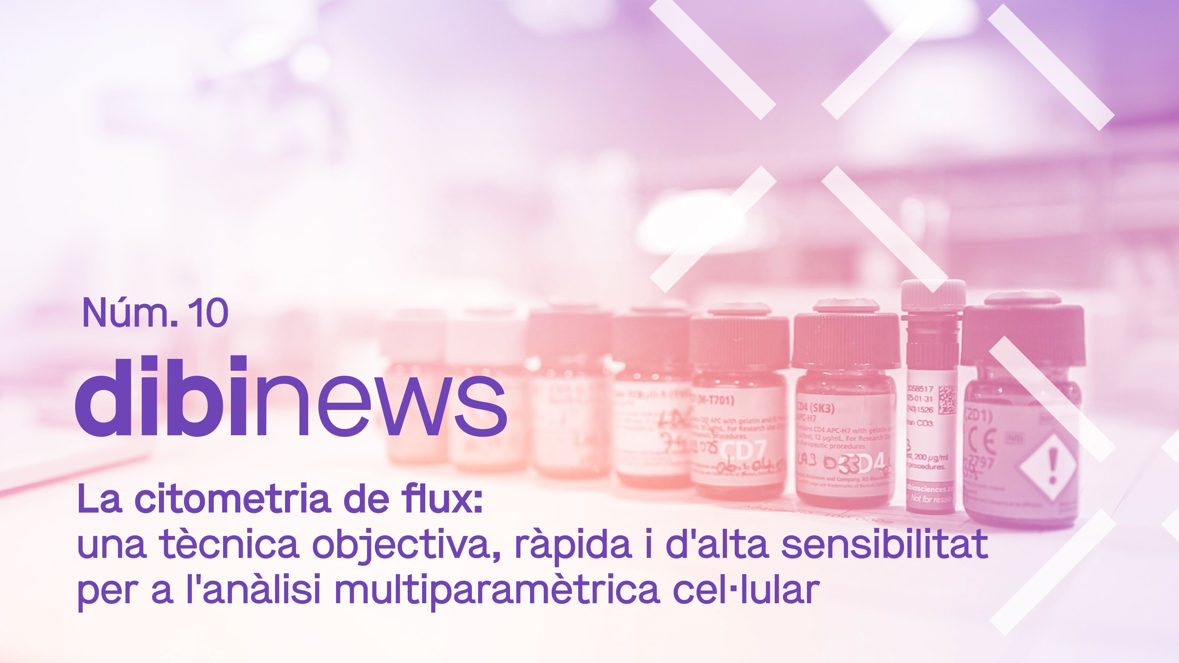 dibinews núm. 10 · La citometria de flux: una tècnica objectiva, ràpida i d’alta sensibilitat per a l’anàlisi multiparamètrica cel·lular