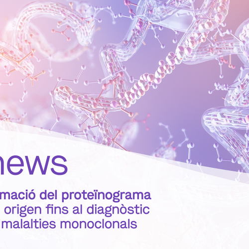 dibinews núm. 11 · La transformació del proteïnograma
