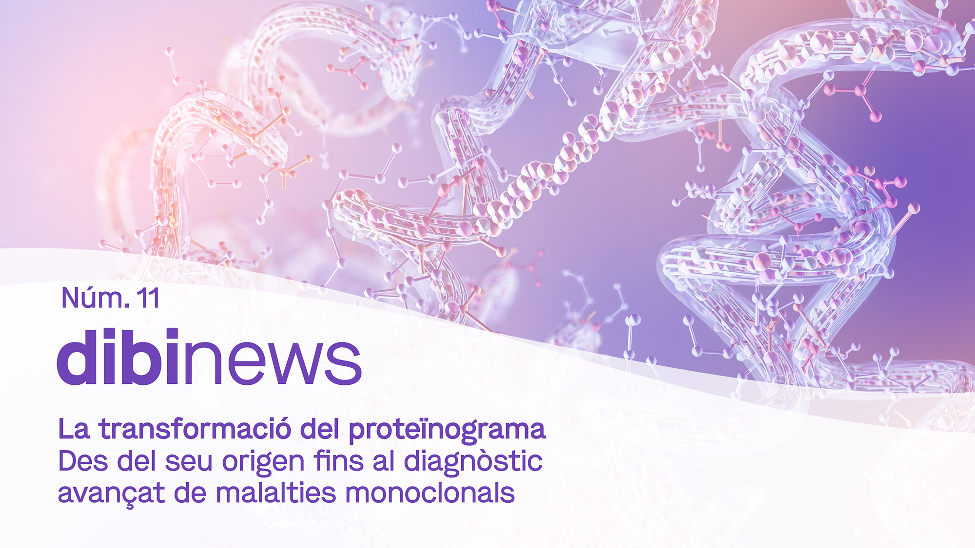 dibinews núm. 11 · La transformació del proteïnograma