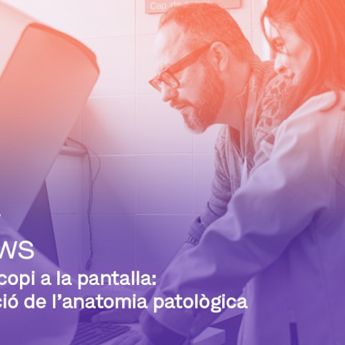 Dibinews núm 20 · Del microscopi a la pantalla: digitalització de l’anatomia patològica