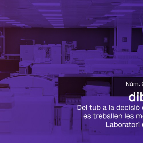 Dibinews núm. 21 · Del tub a la decisió clínica: com es treballen les mostres en el Laboratori Core de dibi